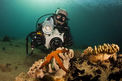 Don Silcock in Ambon-view his profile Don Silcock underwater in Ambon