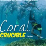 Coral Crucible II Article