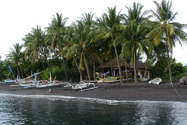 DSC01113