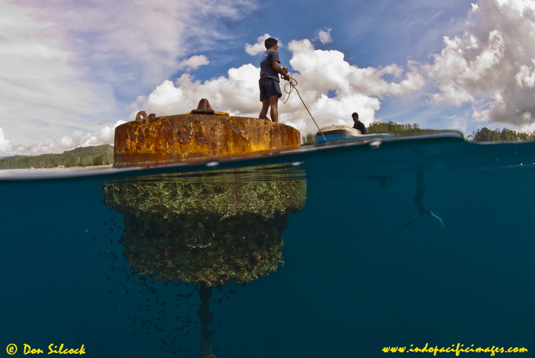 The Ambon Shipwreck's mooring buoy The Ambon Shipwreck is marked by a large mooring buoy