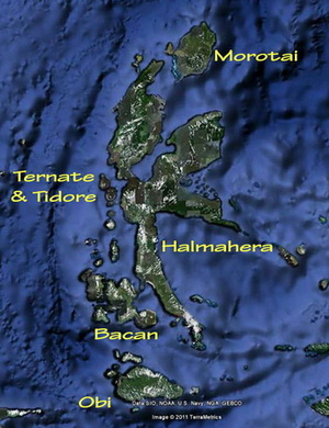 Halmahera_3_crop