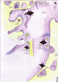 Manta Reef_small