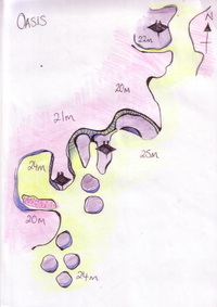 Oasis_small