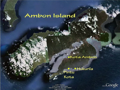The dive sites on Ambon's south coast The south coast of Ambon's dive sites