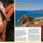 Tasi Tolu Article from Issue #50 of X-Ray Magazine