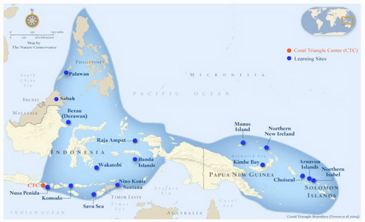Coral Triangle Map - Courtesy of the Nature Conservancy