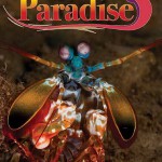 Air Nuigini Paradise Magazine