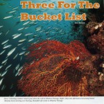 Three for the Bucket List