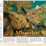 Mirrorless Macro Underwater Photography Part 2