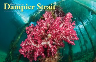 Resort Based Diving in Raja Ampat